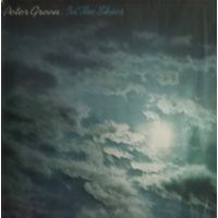 Peter Green /Ex Fleetwood Mac/1979, Teldec, LP, Germany