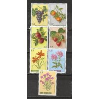 ФФ2 Сан Марино Флора