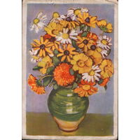 Подписанная открытка 1958г. Польша "Ноготки, ромашка, бархатцы" худ. Моника Жеромска