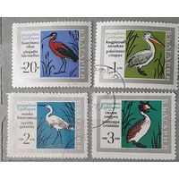 Болгария птицы 4шт