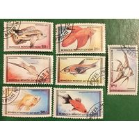 Монголия 1987. Фауна. Рыбы. Полная серич