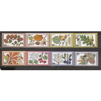 ФФ1 ФРГ Берлин 1979 Соцветие