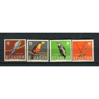 Эквадор - 1958 - Птицы - (незначительные пятна на клее у ном. 10) - [Mi. 956-959] - полная серия - 4 марки. MNH.  (Лот 35HZ)-TG3P46