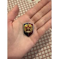 ВДПО ЗНАЧОК С РУБЛЯ