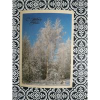 Открытка СССР 1988 год. Чистая. В.Дорожинский. Состояние на скане.