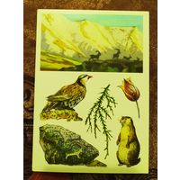 Открытка "Чаткальский заповедник"