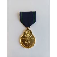 Медаль За меткую стрельбу из винтовки.