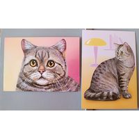 Коты. Серия "Домашние питомцы".