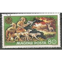 Венгрия. Всемирная охотничья выставка. 1971г. Mi#2666.