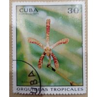 Куба 1973. Тропическая флора. Марка из серии