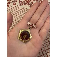 30 лет освобождения Витебска 1944-1974 ЗНАЧОК С РУБЛЯ