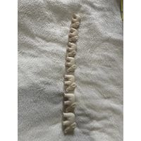 Семь слонов-на счастье