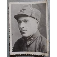 Фото в коллекцию