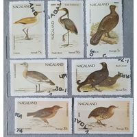 Нагаленд птицы 7шт