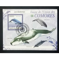 ЛИСТ ФАУНА рыбы морские обитатели  СТО