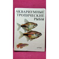АКВАРИУМНЫЕ ТРОПИЧЕСКИЕ РЫБЫ