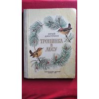 Юрий Дмитриев Тропинка в лесу