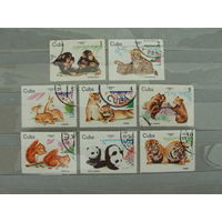 Продажа коллекции с 1 рубля! Фауна на почтовых марках мира.