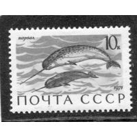 СССР 1971. Морская фауна. Нарвалы