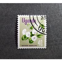 Марка Уганда 1969 год Цветы