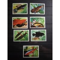 Никарагуа 1981 г. Рыбы.