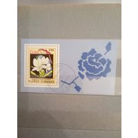 Флора куба блок