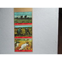 Манама.  Знаменитые Картины.