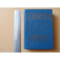 Раритетный и увлекательный Краткий статистический сборник Белорусская ССР в цифрах, 1963 год (3630)