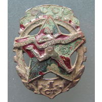 ГТО 1 степень.