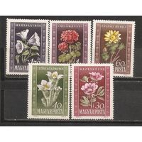 ФФ1 Венгрия 1950 Цветы