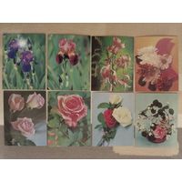 Мини-открытки чистые 8 шт.одним лотом