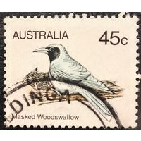 Австралия. Фауна. Птицы. Masked Woodswallow