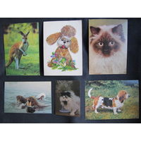 6 открыток с животными