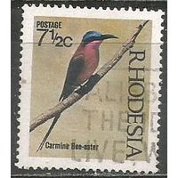 Родезия. Птицы. Нубийская Щурка. 1971г. Mi#101.