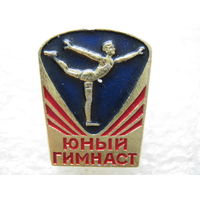 Юный гимнаст.