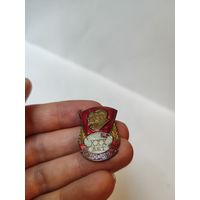 Знак 30 лет комсомола.1948 г.