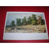 Шишкин Побережье дубовой рощи чистая