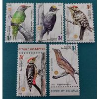 Беларусь 2022 Птицы, дятлы