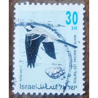 Израиль 1992. Певчие птицы. Белая трясогузка