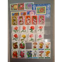 Флора сборный Болгария 5 серий