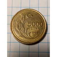 5000 лир Турция 1995 год