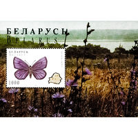 1996 БЕЛАРУСЬ  блок коллекционных марок  Бражник Бабочки   MNH