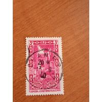 Французская колония Алжир архитектура флора (2-1)