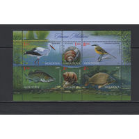 Фауна Молдова 2014** Фауна водоёмов