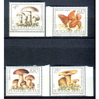 Югославия - 1983г. - Грибы. Флора - полная серия, MNH [Mi 1977-1980] - 4 марки