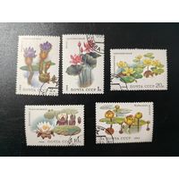 РАСПРОДАЖА КОЛЛЕКЦИИ. СССР. марки "водные цветы"