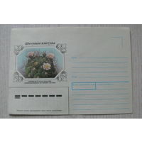 1983, 1990, ХНМК, Горинов К., Гимнокалициум, из серии "Цветущие кактусы".