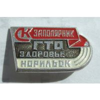 СК Заполятник. ГТО. Норильск