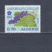 [343] Алжир 1970. Флора.Плоды.Ягоды.Фрукты.Виноград на почтовых марках. Концовка серии. MNH