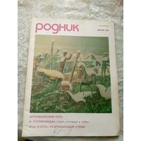Журнал"РОДНИК"\15д